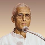 Vidwan Sri V Subrahmanian